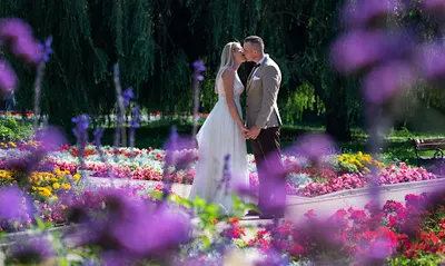 Foto Wideo Surbstudio